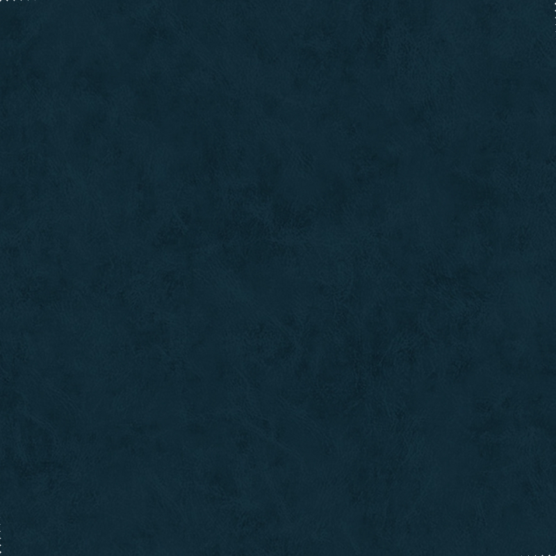 a193fdbfccb4bb9687abb8ba765b7ee4