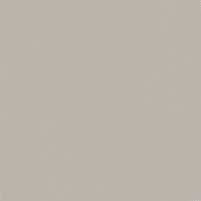 984eefe45dc96a9e6cb0d46095cb4d06