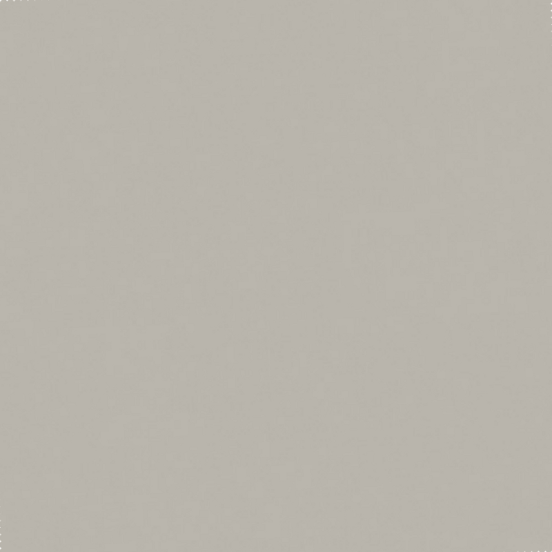 984eefe45dc96a9e6cb0d46095cb4d06