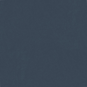 4763e8d648fd430f724f57c4613792c1