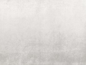 197c865b35a3ffb6303d931d16df0f84