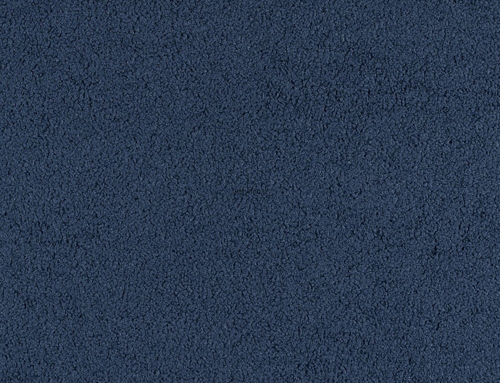 Arctic