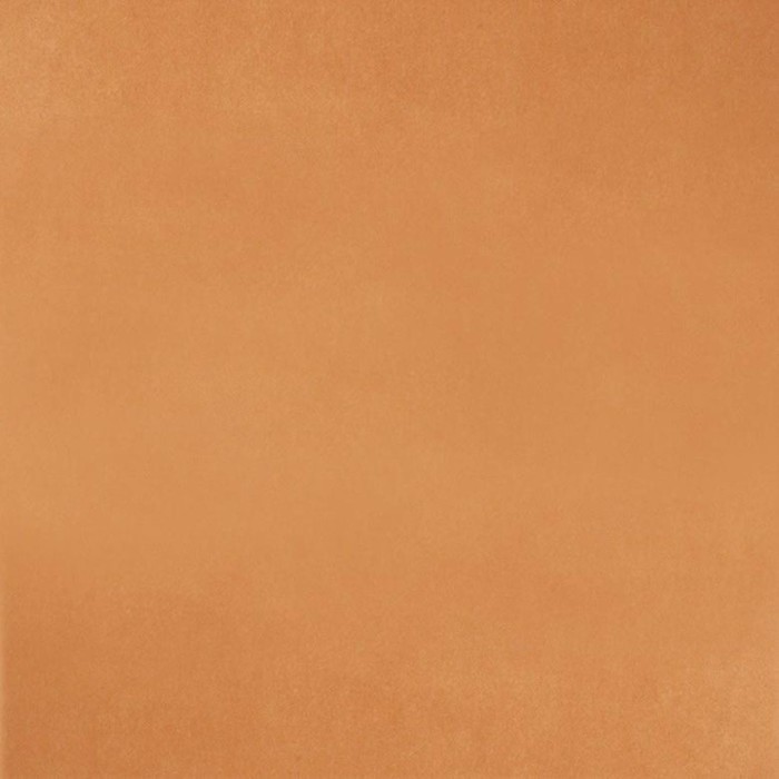 965b53312febc60739c7616a324de438