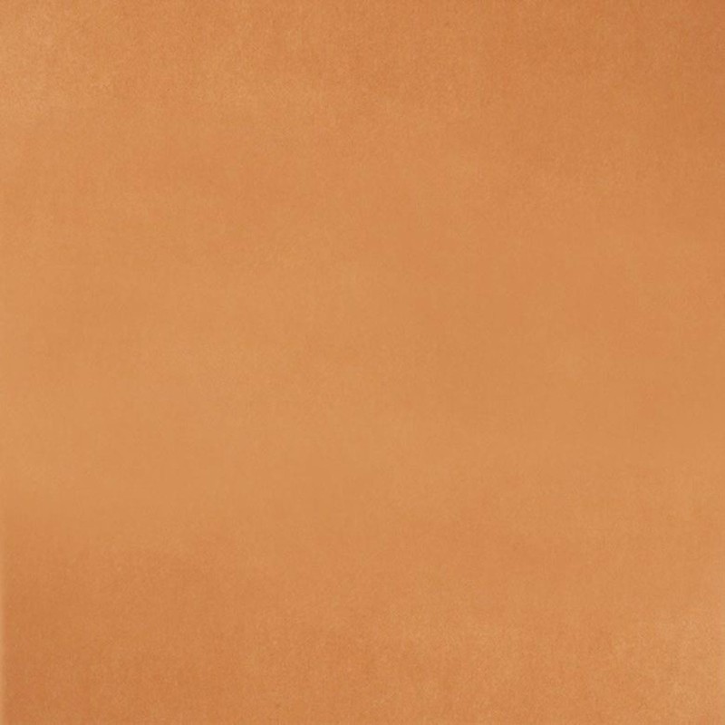 965b53312febc60739c7616a324de438