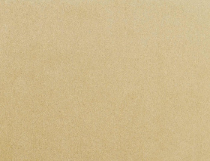 31935e7676fa6a01419ac53851bce5e5