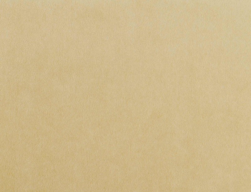 31935e7676fa6a01419ac53851bce5e5