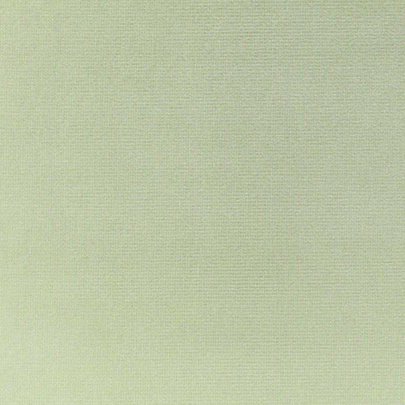 4737a4ed7c170176c00b5027b829208f