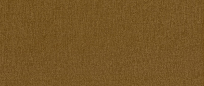 7323.jpg