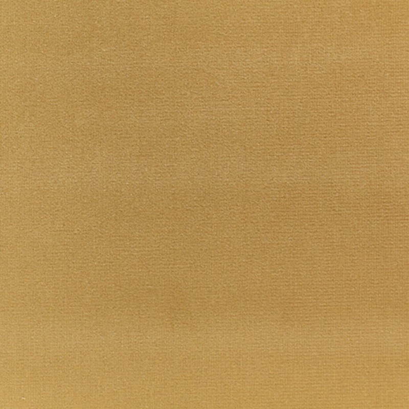 333c699c704bc5bdcdf1552556ca65d9