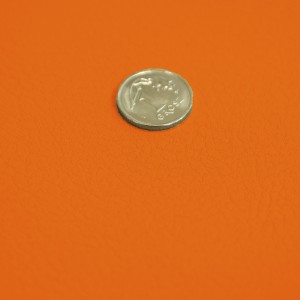 10853.jpg