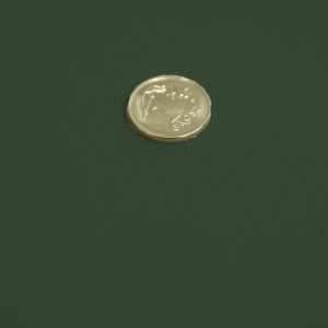 10865.jpg
