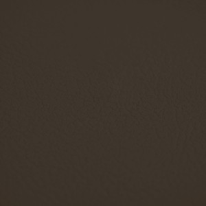 10876.jpg