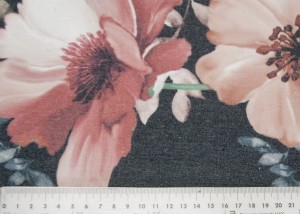 7711.jpg