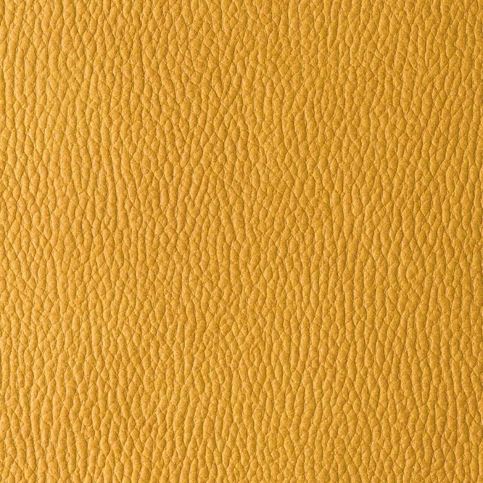 a6c0f3665edb53edd9911208a4a2070b