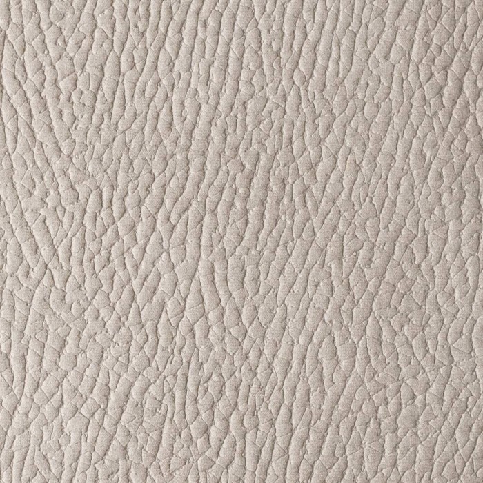 7ba625d1d50e58a51f6ab5ff54df0b8e