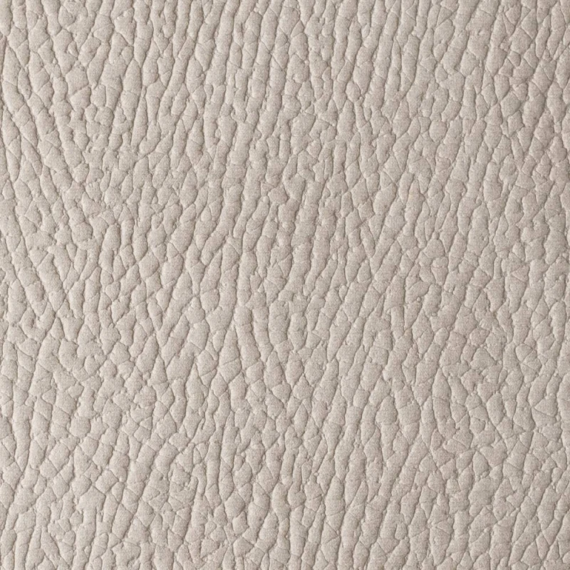 7ba625d1d50e58a51f6ab5ff54df0b8e
