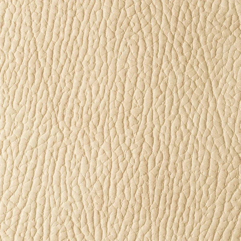 6488b0cea29546a5e85f16421077bf4a