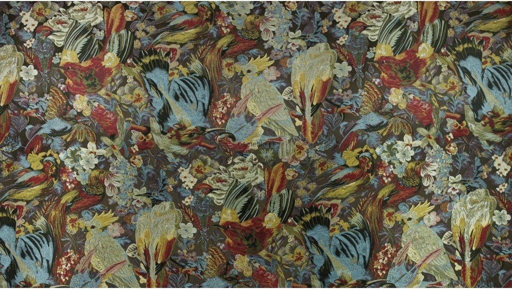 KOLIBRY