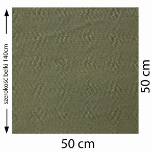 45511.jpg