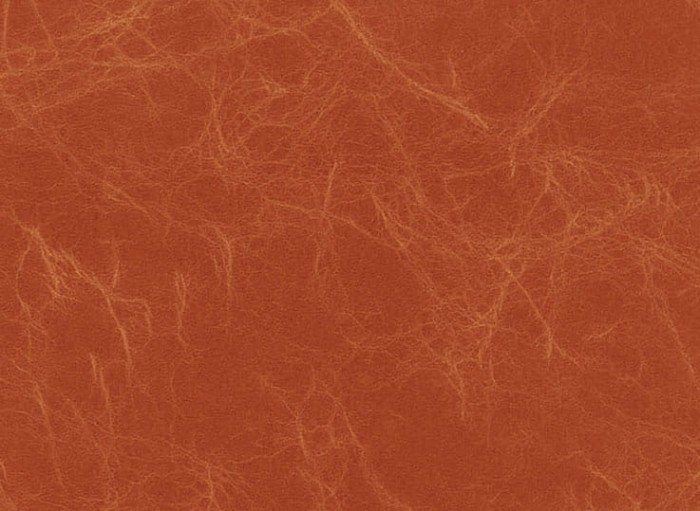 fdc5ffee51988b82ffdb739c3f85a736