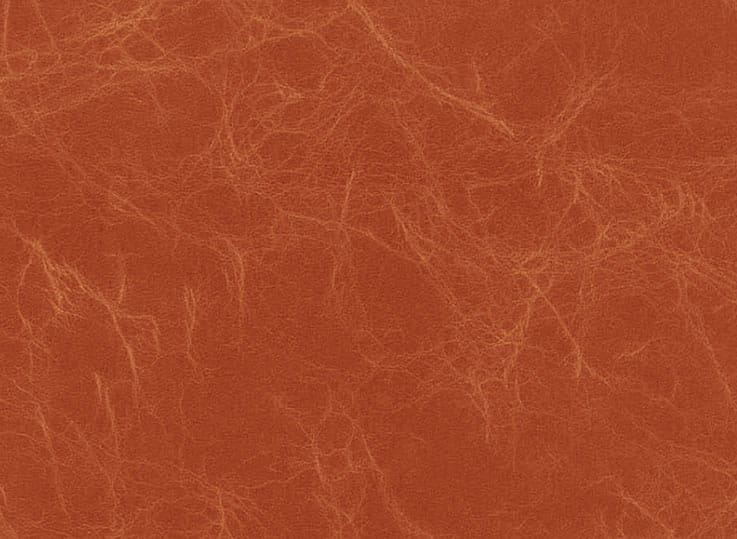 fdc5ffee51988b82ffdb739c3f85a736