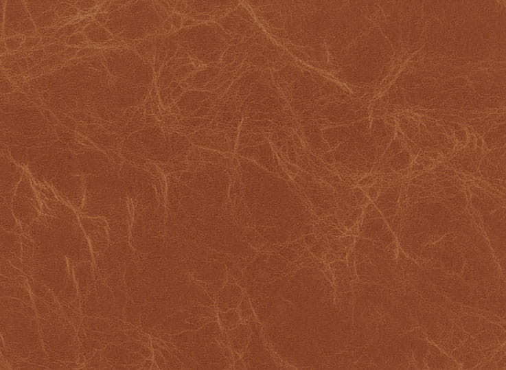 493c2418e604a424888aba69aebf21f9