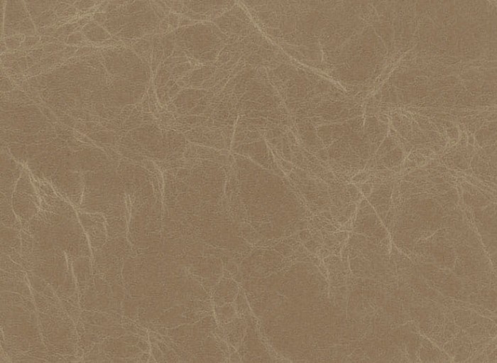 b12d489e31346e353c82e3784842a1a6