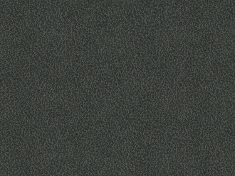 790be00fc8d5aacb9e2cdf9d7a2b4625