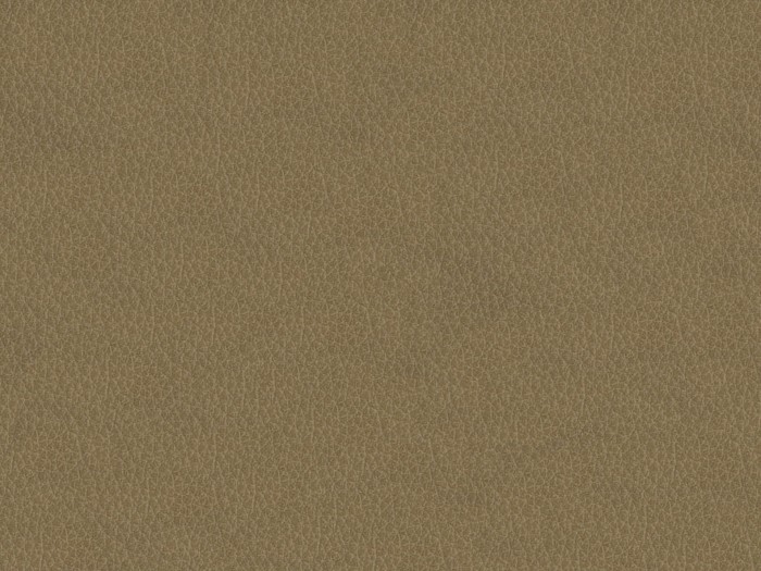 55d85a1ee055d8c7b9024fcaa5fe75f7