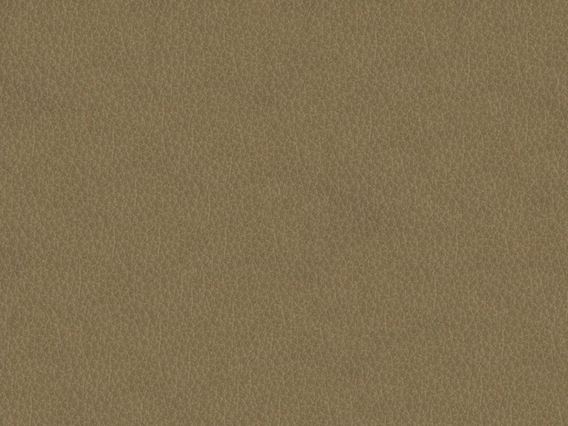 55d85a1ee055d8c7b9024fcaa5fe75f7