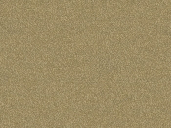 b950a22681326b9954539803555e3028