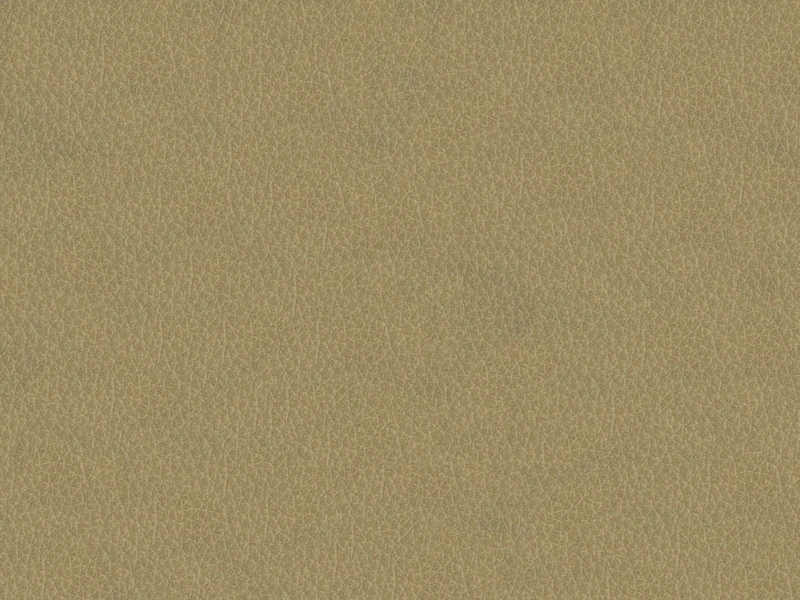 b950a22681326b9954539803555e3028