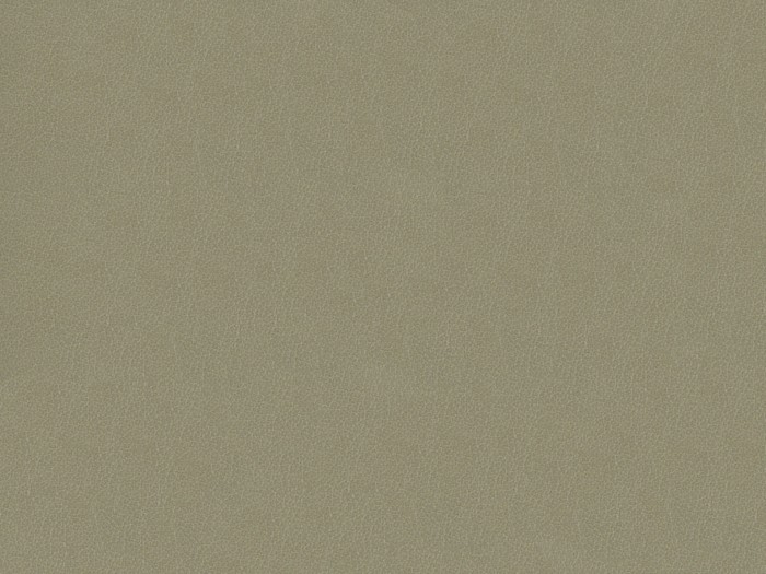 945be8554107a1c1b7a217d7cc3085a2