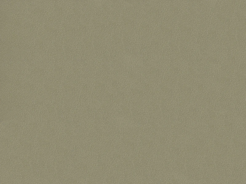 945be8554107a1c1b7a217d7cc3085a2