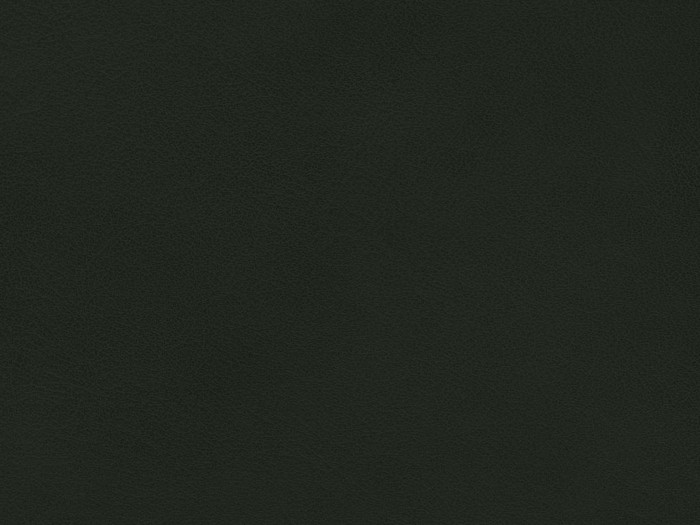 4979e71fab2fe0ae8ab31c08f2703d20