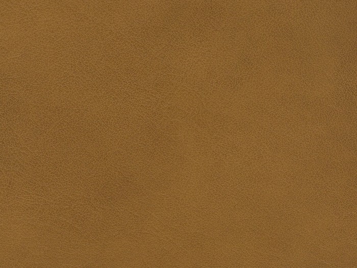 7f42985b1571a9930252a730742cae9b