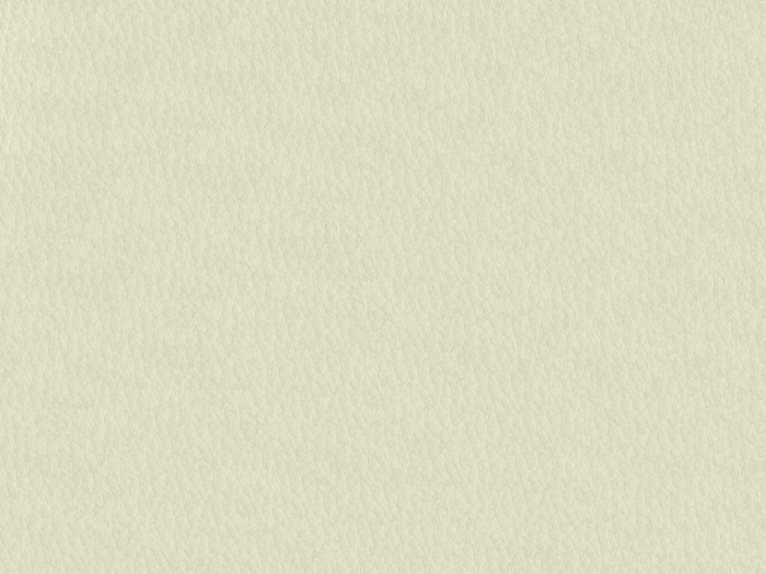 aafd64b5cc5f6a5cf9c6c1e4be77e908