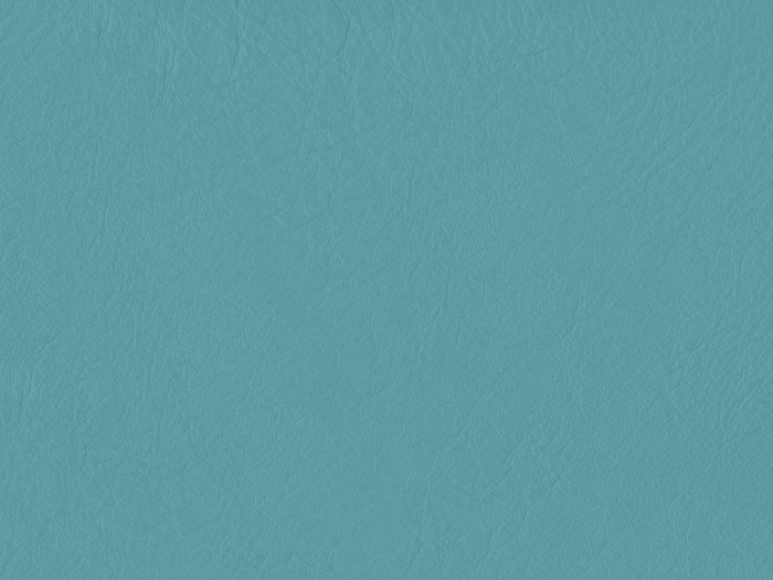 b1150790cbef07bda054e816dcd72820