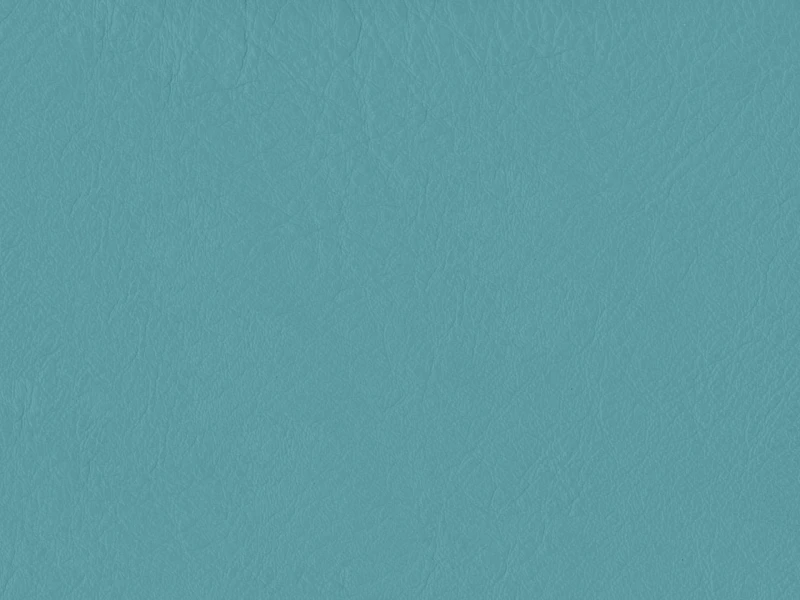 b1150790cbef07bda054e816dcd72820