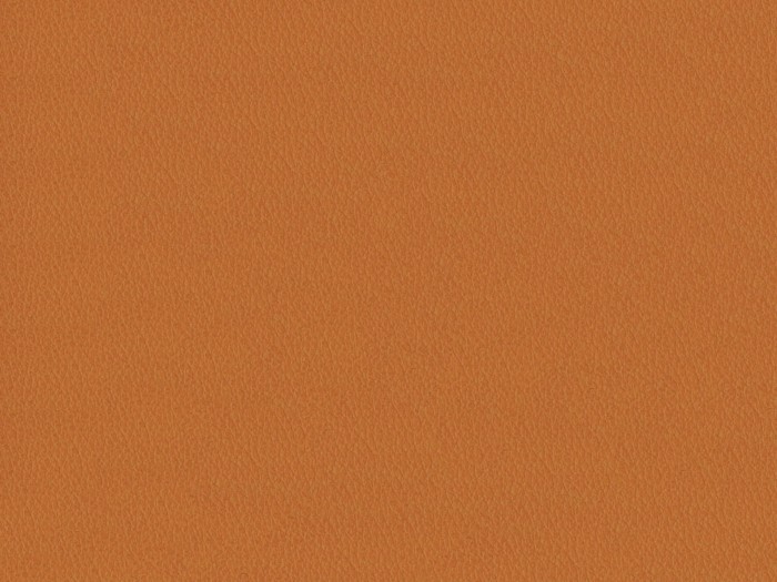 fe63ea3d867b1d9c2ef6798067998c0d