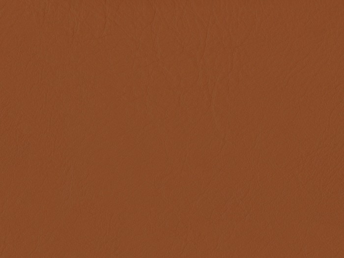 223d73a992c88093199be897c78cd83e