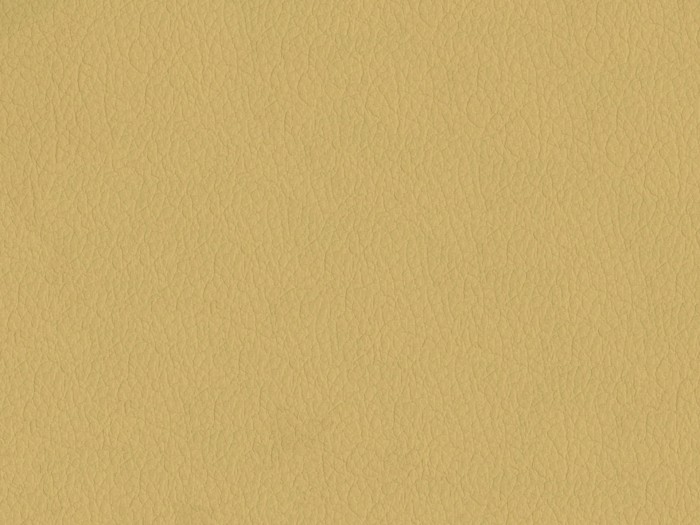 fb2a57b14c3b51d61b30bf7f2dfc5d6b