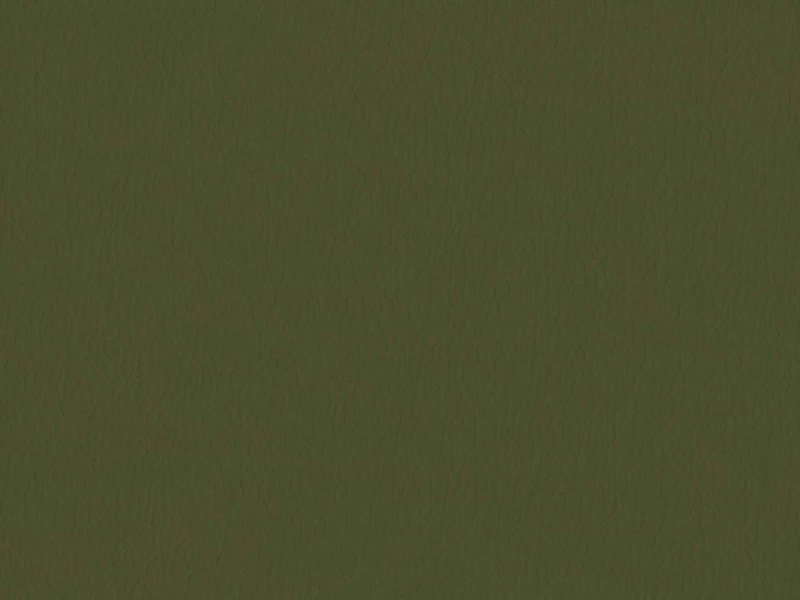 4e107bd073a8dce6ee0248dfbd2f9957