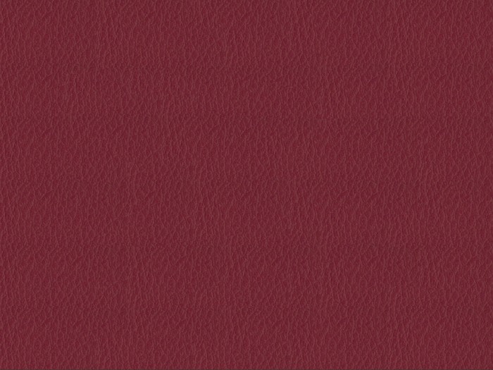 31e79ad63fe94fb27f46f7504dd79502