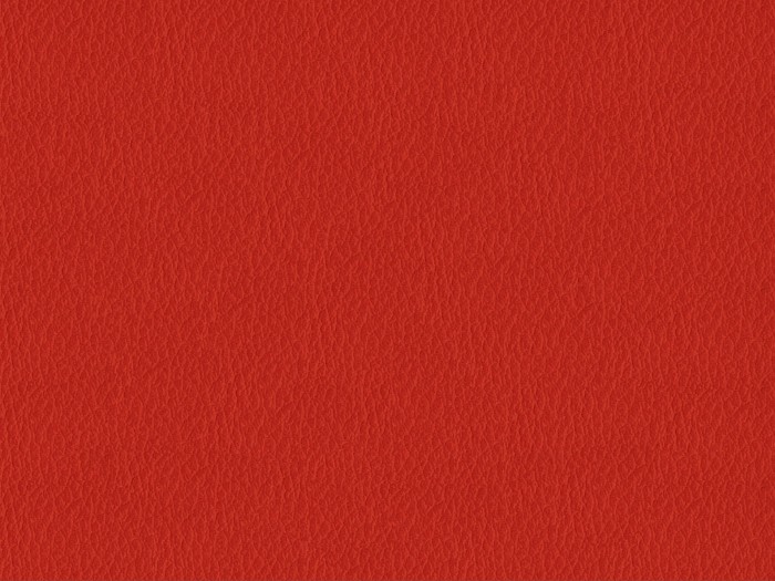 e07881a77f3cc15cf9fcb477b4e8119d