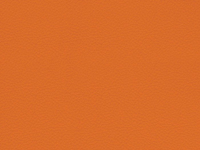 c4956ea63f63e4be754612984dd17d44