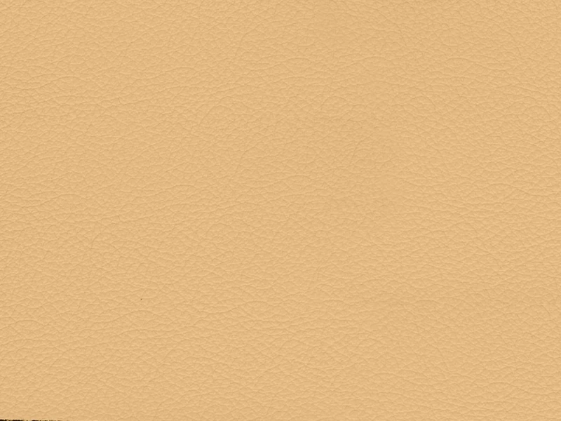 eec3c905f73e4d3ccf191ae1fcdf8fd7
