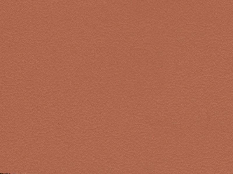 55e6fe01c209ef57a1022986eff26e2e