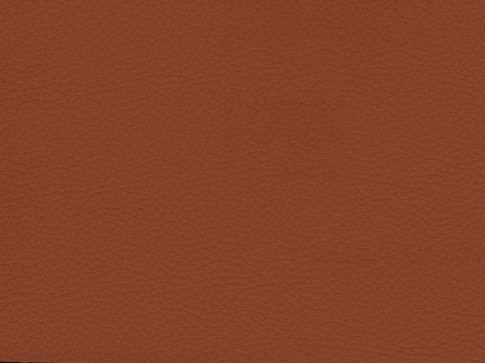 484d79939d0172716742229e3529fd4e