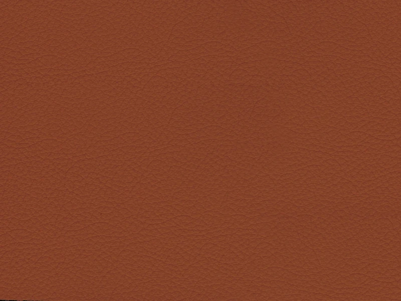 484d79939d0172716742229e3529fd4e